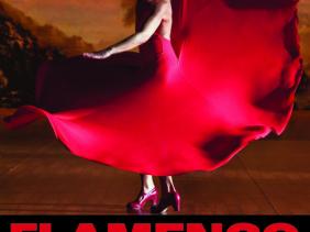 Flamenco film