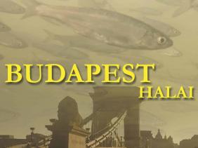 Film:Budapest halai