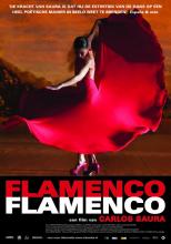 Flamenco film
